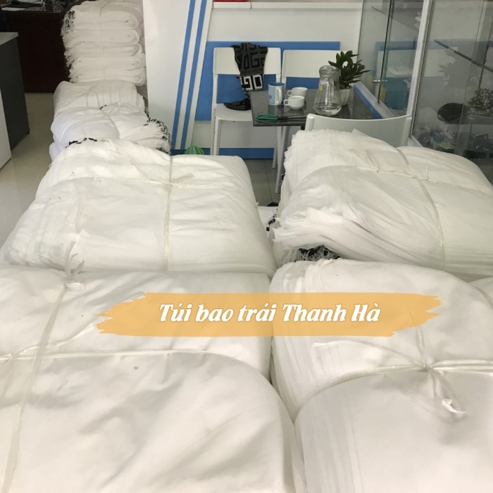 Thanh Hà sản xuất trực tiếp túi bao buồng chuối không qua trung gian