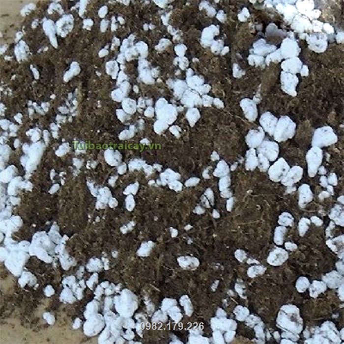 Đá trân châu trộn cùng với đất giúp tăng độ tơi xốp, giúp đất thoáng khí tạo điều kiện cho bộ rễ phát triển