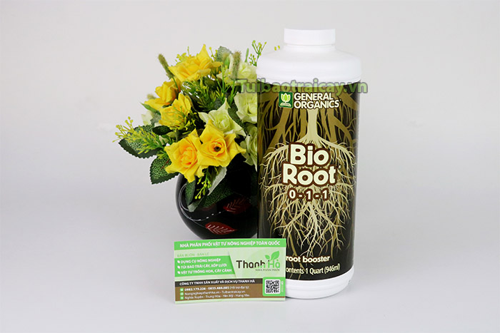 Thuốc kích rễ Bio Root được nhập khẩu từ Mỹ