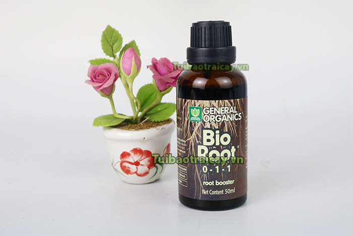 Kích rễ bio root siêu kích rễ cho cây trồng