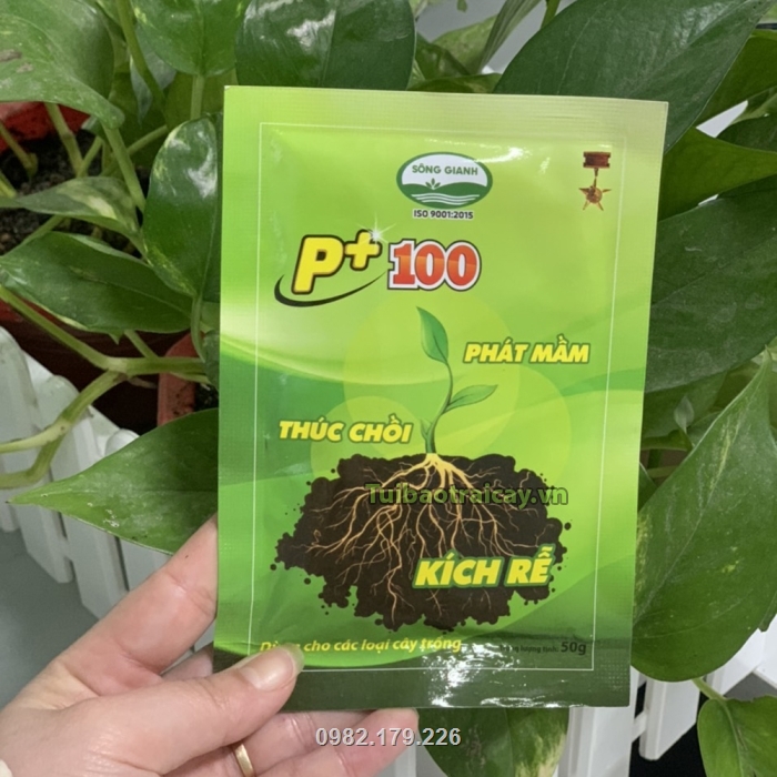 Sản phẩm cung cấp các chất dinh dưỡng cần thiết cho sự phát triển của cây