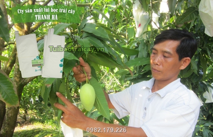 Túi bao ngăn chặn hiệu quả côn trùng châm chích làm hỏng, thối trái