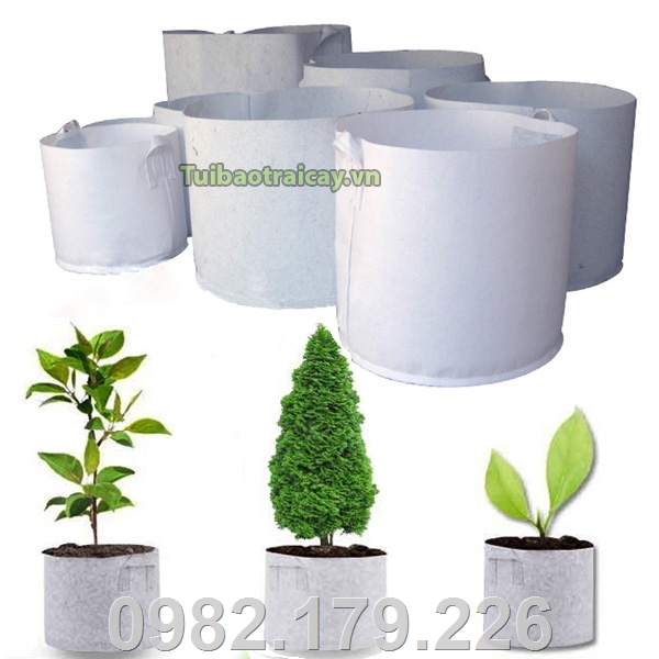 Túi vải trồng cây phù hợp với nhiều kích thước các loại cây trồng khác nhau