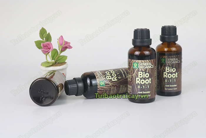 Bio root cho lan giúp cây khỏe, tăng tỉ lệ nảy rễ