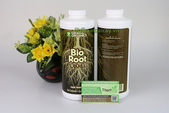 Vua kích rễ bio root sử dụng cho mọi loại rễ