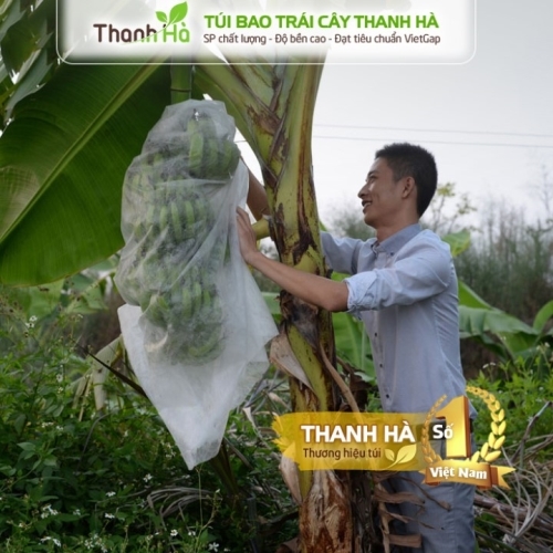 tui-boc-trai-cay-tranh-con-trung-thanh-ha-loai-60x100cm-chuyen-bao-chuoi-143028.jpg