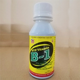 phan-bon-la-dam-dac-hvp-vitamin-b1-lo-250-ml-t28-219.jpg