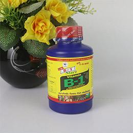 phan-bon-vitamin-b1-thai-lan-t162-624.jpg
