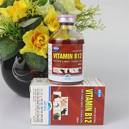 vitamin-b12-giai-doc-cho-lan-t163-625.jpg